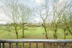 Photo 14- click for photo gallery